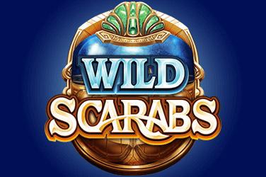 Wild scarabs